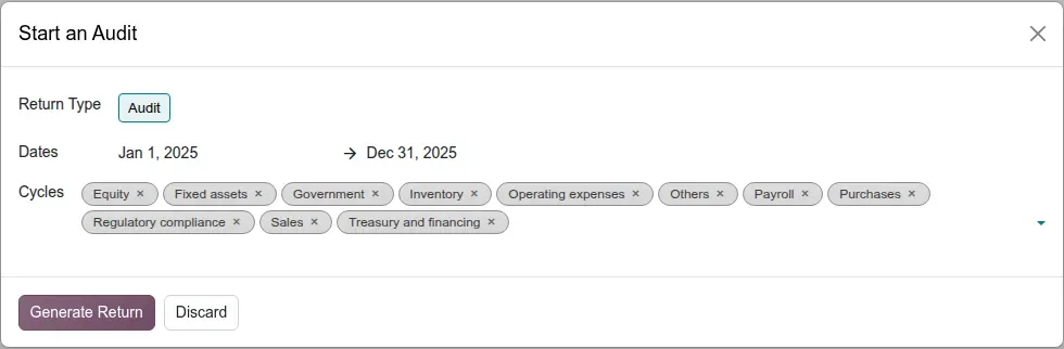Start an Audit dialog for Jan 1 - Dec 31 2025 with cycles