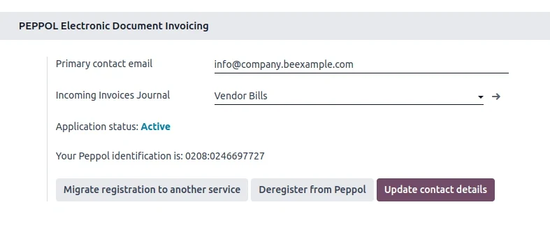 Odoo 19 Peppol Registration panel showing an active registration with the endpoint identifier and a Send button for outgoing e-invoices