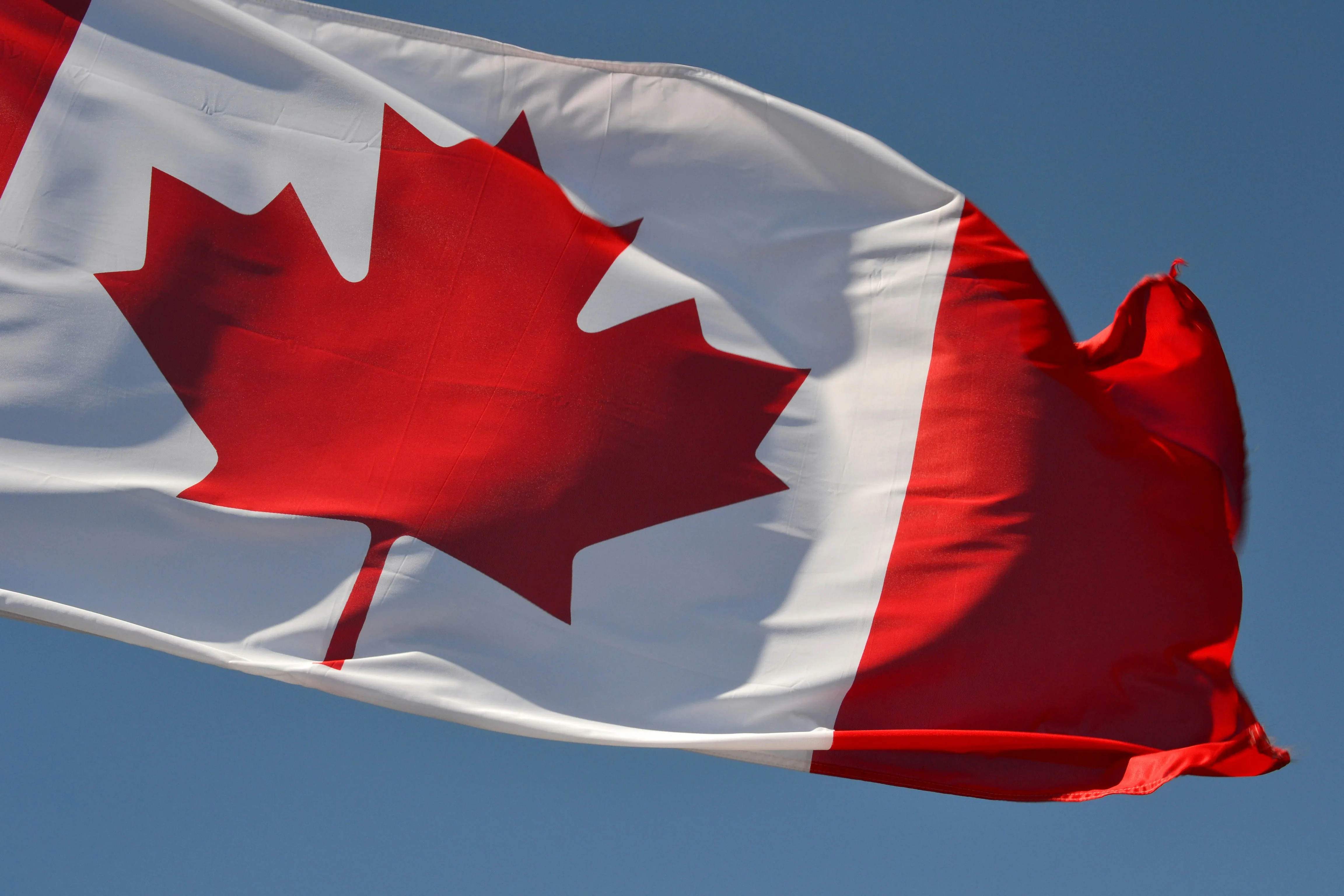 Canadian maple leaf flag background